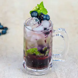 Blueberry Mojito